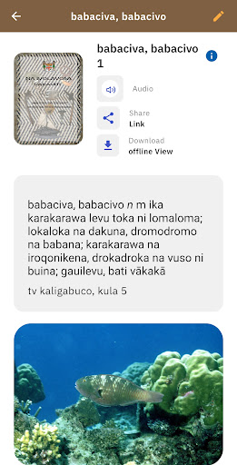 iVolavosa Screen 3