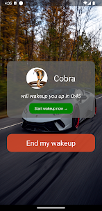 Cobra Clock