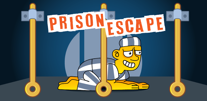 Prison Escape: Pin Puzzle