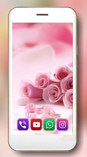 Roses Pink Love Live Wallpaper