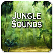 Top 20 Music & Audio Apps Like Jungle Sounds - Best Alternatives