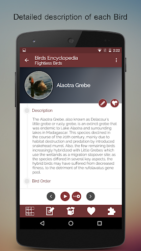 Screenshot of Birds Encyclopedia Offline App