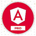למד Angular: AngularDev PRO