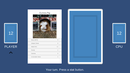 Trump Card Pair Game Offline