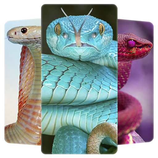Snake Wallpapers HD logo