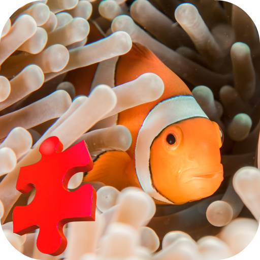 Clown Fish Jigsaw Puzzle Game