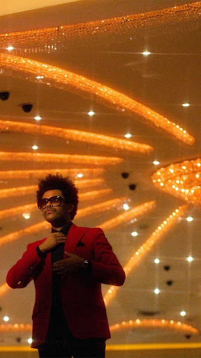 The Weeknd Wallapers - HD Back