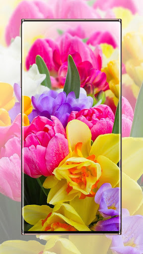 Android application Flower wallpaper screenshort