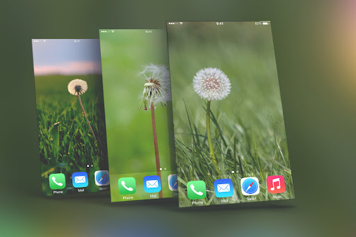 Dandelion Wallpapers