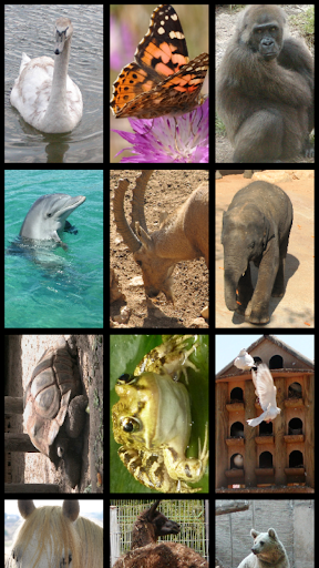Animals Puzzle Screen 2