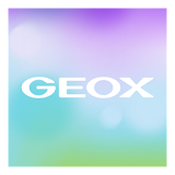 Geox Watch Face icon