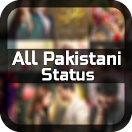 Pakistani Status Videos poster 4