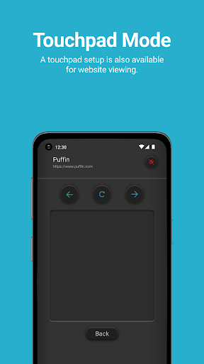 Screenshot of Puffin TV Remote