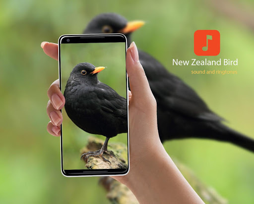 Android application NZ Bird Sounds screenshort