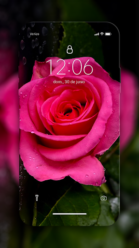 Rose Wallpapers Screen 3
