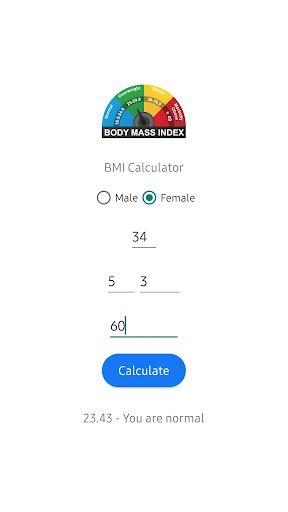 BMI Calculator Screen 3