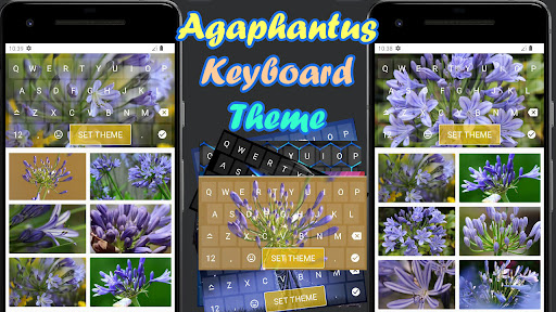 Agaphantus Keyboard Theme