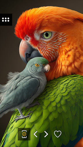 Android application Wallpapers 4K with birds screenshort