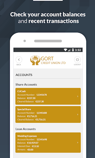 Gort Credit Union LTD Screen 2