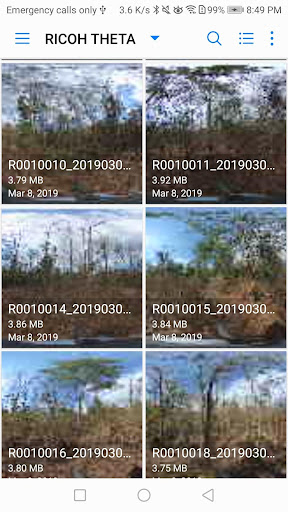 BasalArea Screen 2