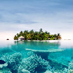 Cover Image of Unduh Tropical Wallpapers HD 1.0 APK