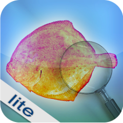 Fishbook Lite - Apps on Google Play