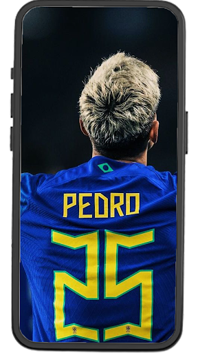 Pedro Flamengo Wallpapers Screen 3