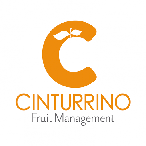 Cinturrino Screen 2