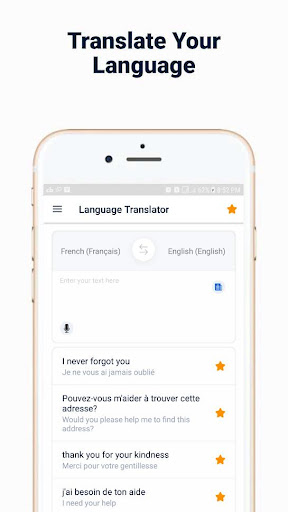 French - English Translator