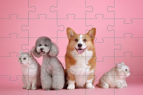 Dogs Jigsaw Puzzles 2.11.00 MOD APK (Unlimited Money) Free Foe Android 8