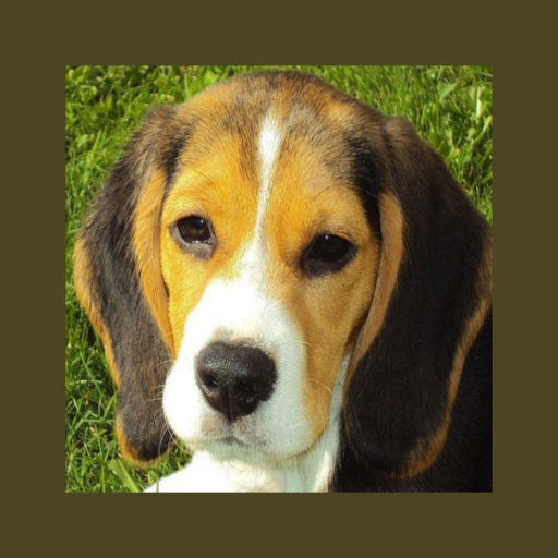 Pet Dog Simulator Laai af op Windows