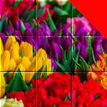 Cover Image of Скачать Jigsaw Flower & Plant Puzzles  APK