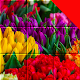 Jigsaw Flower & Plant Puzzles: Smart Mosaic