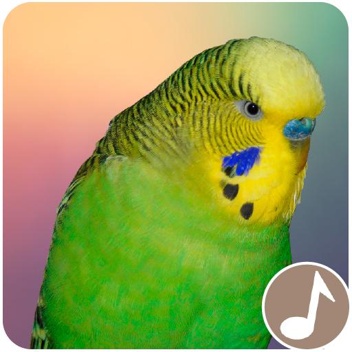 Canto Perico Australiano logo