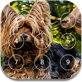 Dog password Lock Screen icon