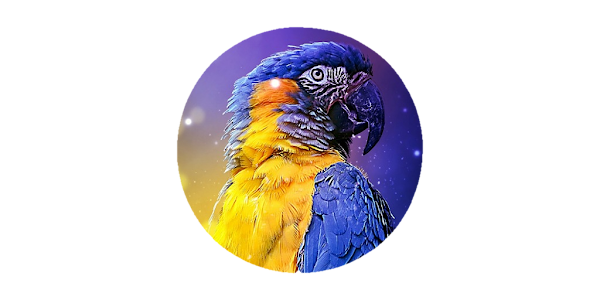 Teaching Macaw Parrot To Speak Google Play 應用程式