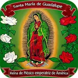 Virgen de Guadalupe Imagenes icon