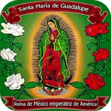 Virgen de Guadalupe Imagenes Download on Windows