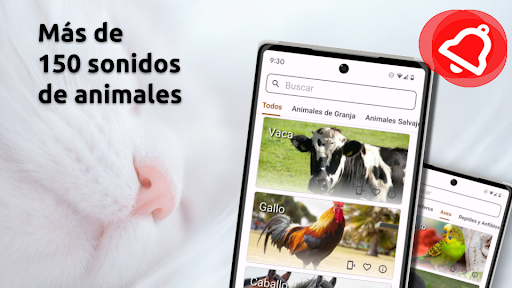 Vista previa de la aplicación