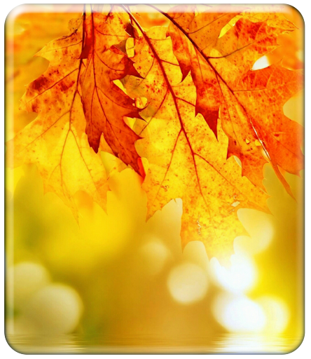 Autumn Wallpaper HD Screen 2
