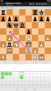 Schachprobleme (Schach) Screenshot