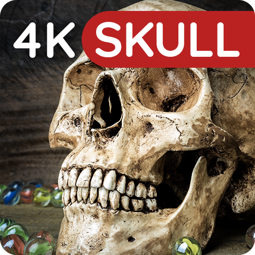 Wallpapers with Skulls 4K 11.04.2020-skull Icon