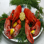 Cover Image of Download lobster 1.0 APK