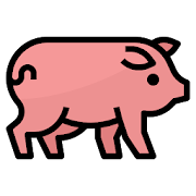 Lucky Pig app icon