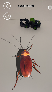 Insectes AR