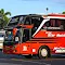 Bus and Truck Mania - Game 4