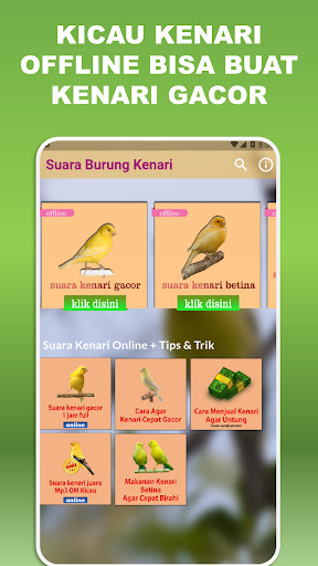 App preview