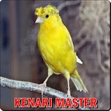 Masteran Kenari Offline icon