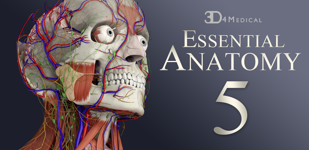 Essential Anatomy 5