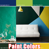 Paint Colors icon